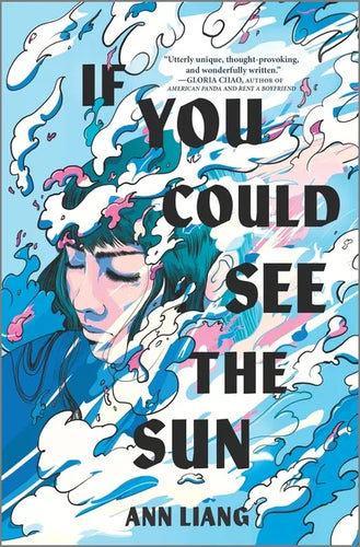 If You Could See the Sun - Hardcover
