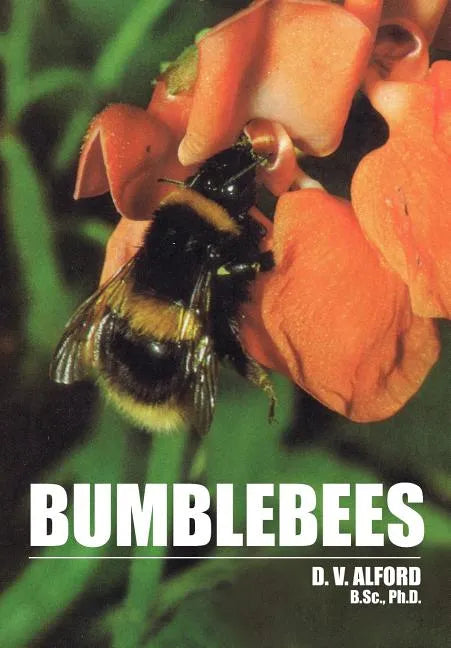 Bumble Bees - Paperback
