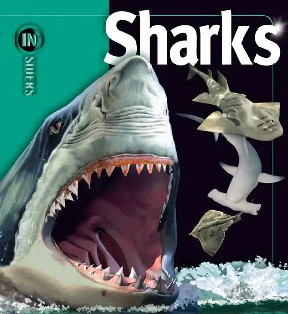 Sharks - Hardcover