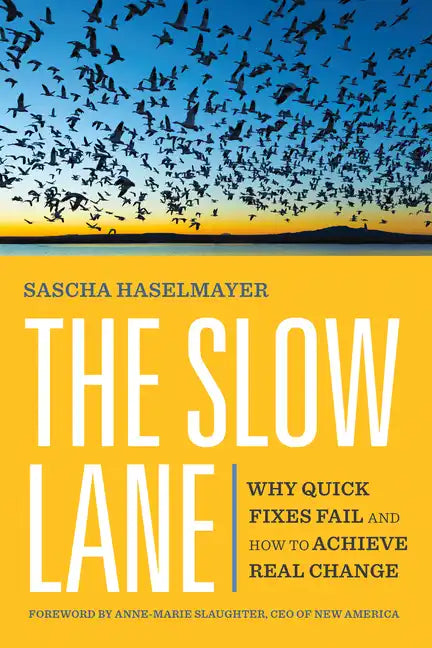 The Slow Lane: Why Quick Fixes Fail and How to Achieve Real Change - Paperback