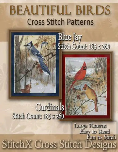 Beautiful Birds Cross Stitch Patterns - Paperback