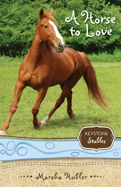 A Horse to Love: 1 - Paperback