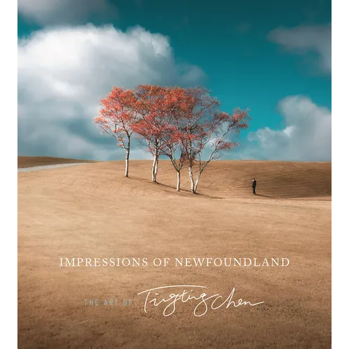 Impressions of Newfoundland: The Art of Ting Ting Chen - Paperback