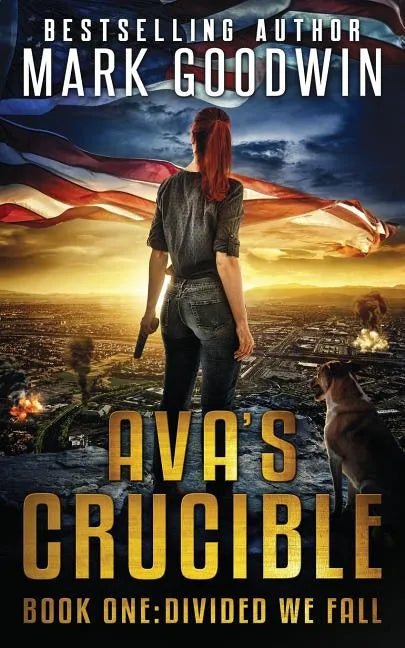 Divided We Fall: A Novel of the Coming Civil War in America - Paperback