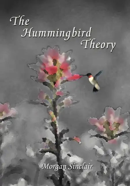 The Hummingbird Theory - Hardcover