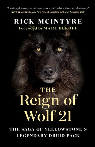 The Reign of Wolf 21: The Saga of Yellowstone's Legendary Druid Pack - Paperback