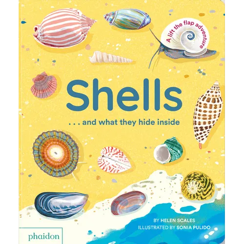 Shells... and What They Hide Inside: A Lift-The-Flap Adventure - Board Book