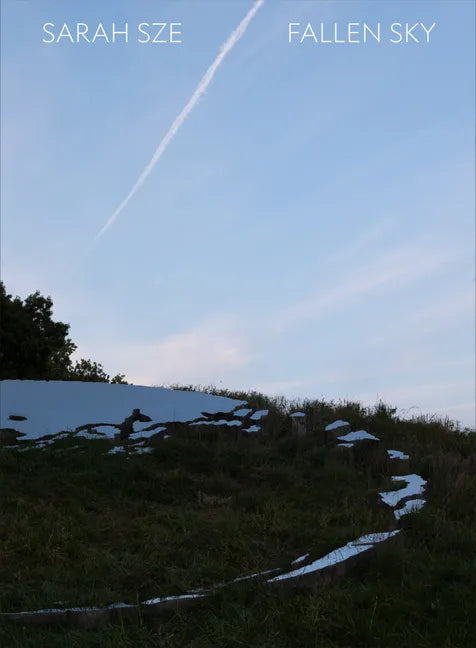 Sarah Sze: Fallen Sky - Hardcover