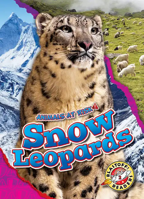 Snow Leopards - Library Binding