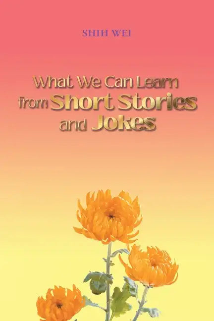 What We Can Learn From Short Stories And Jokes - Paperback