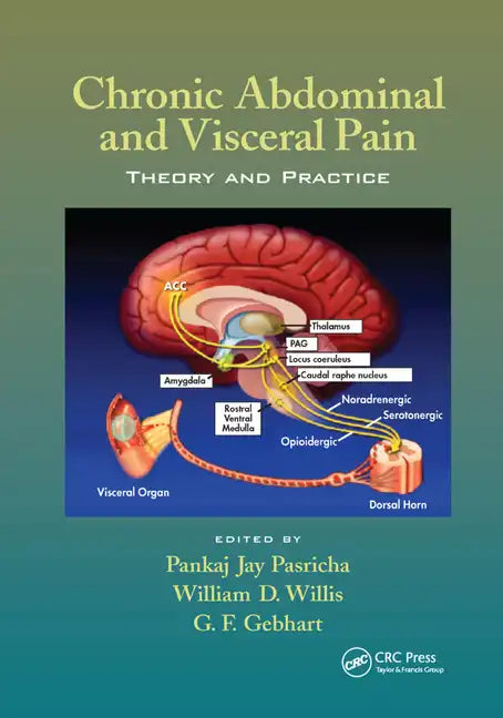 Chronic Abdominal and Visceral Pain: Theory and Practice - Paperback