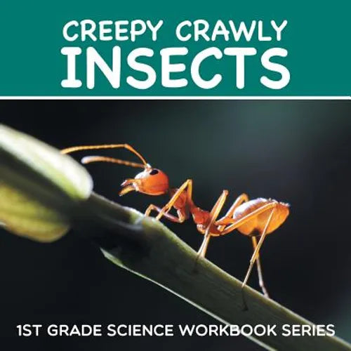 Creepy Crawly Insects: 1st Grade Science Workbook Series - Paperback