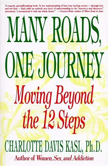 Many Roads One Journey: Moving Beyond the Twelve Steps - Paperback