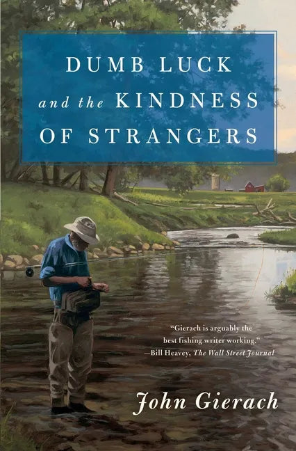 Dumb Luck and the Kindness of Strangers - Paperback