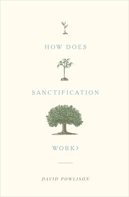 How Does Sanctification Work? - Paperback