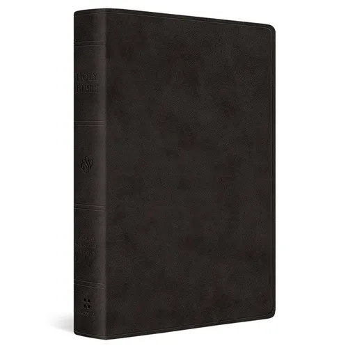 ESV Giant Print Value Thinline Bible (Trutone, Black) - Imitation Leather