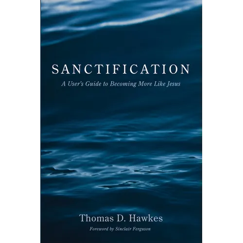 Sanctification: A User's Guide to Becoming More Like Jesus - Paperback
