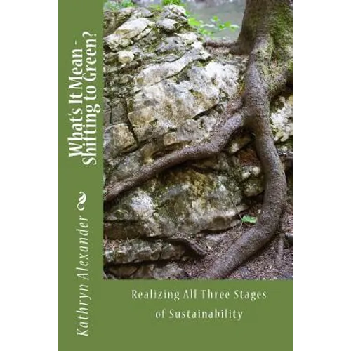 What's It Mean - Shifting to Green?: Getting to the Finish Line - Paperback