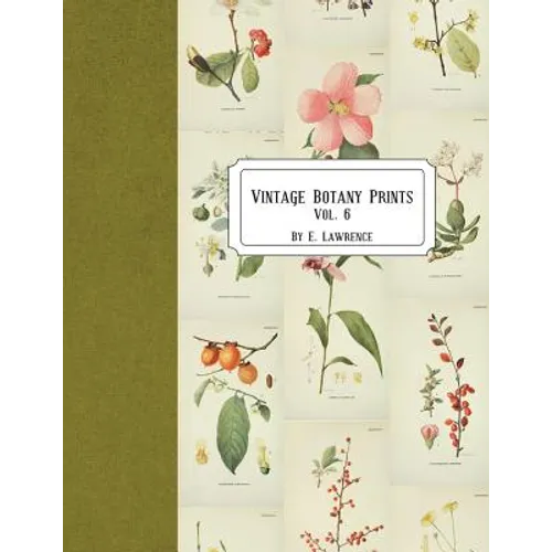 Vintage Botany Prints: Vol. 6 - Paperback