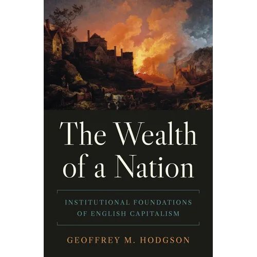 The Wealth of a Nation: Institutional Foundations of English Capitalism - Paperback