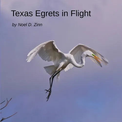 Texas Egrets in Flight - Paperback