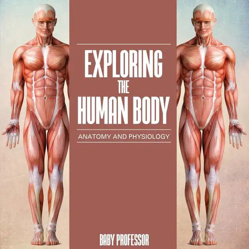 Exploring the Human Body Anatomy and Physiology - Paperback