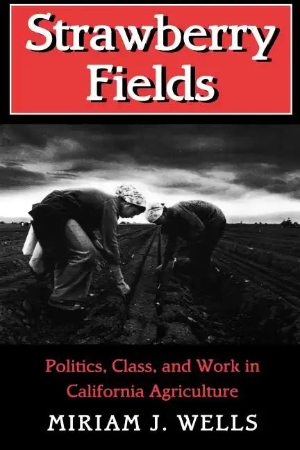 Strawberry Fields - Paperback