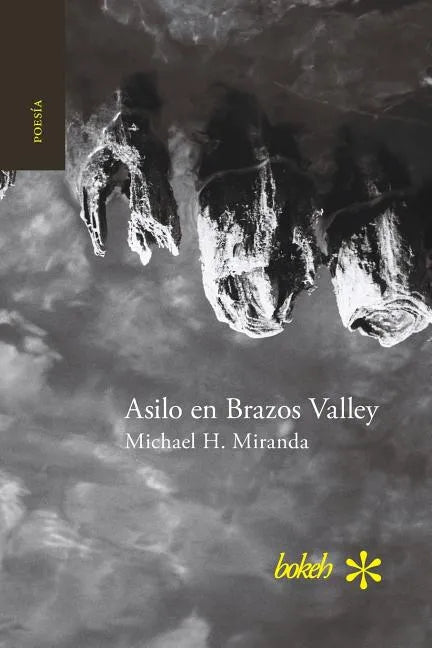 Asilo en Brazos Valley - Paperback