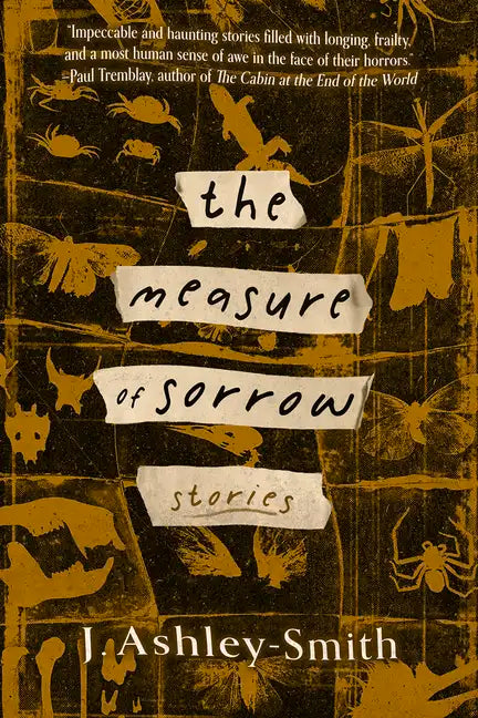The Measure of Sorrow: Stories - Paperback