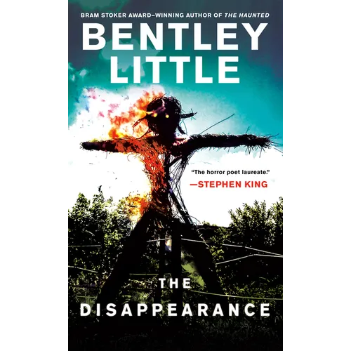 The Disappearance - Paperback