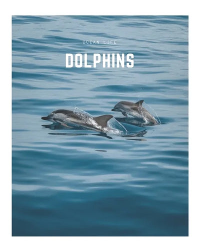 Dolphins: A Decorative Book │ Perfect for Stacking on Coffee Tables & Bookshelves │ Customized Interior Design & Home Decor - Paperback