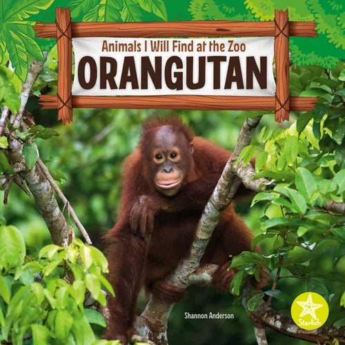 Orangutan - Paperback