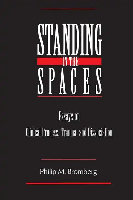 Standing in the Spaces: Essays on Clinical Process Trauma and Dissociation - Paperback