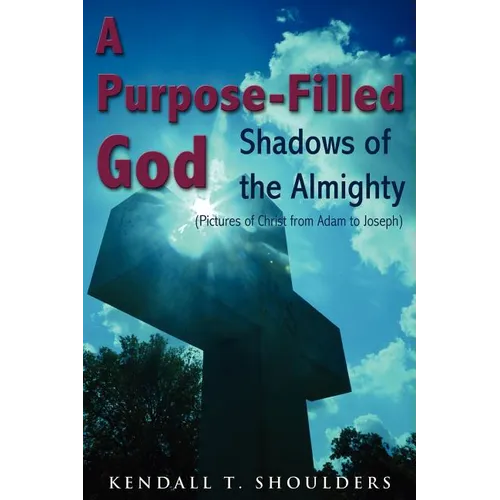 A Purpose-Filled God: Shadows of the Almighty - Paperback