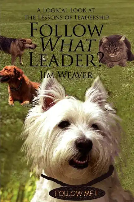 Follow What Leader?: A Logical Look at the Lessons of Leadership - Paperback