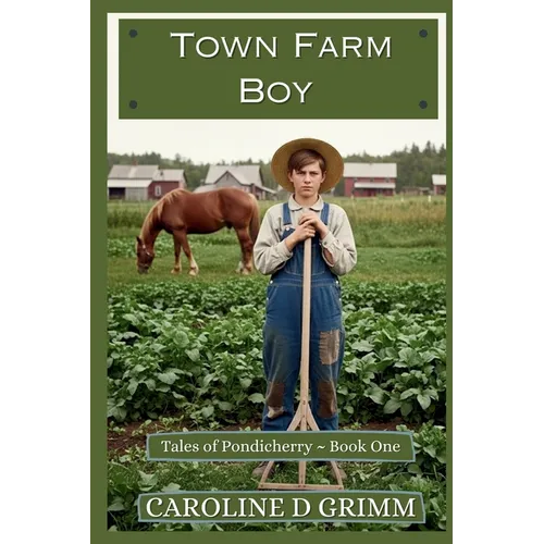 Town Farm Boy - Paperback
