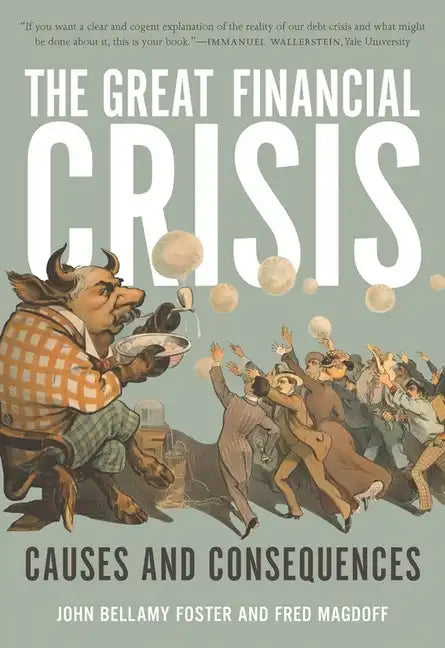 The Great Financial Crisis: Causes and Consequences - Paperback