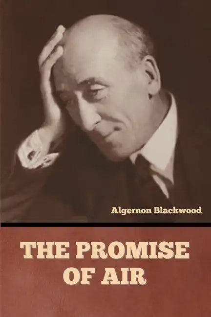 The Promise of Air - Paperback