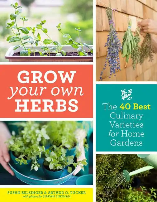 Grow Your Own Herbs: The 40 Best Culinary Varieties for Home Gardens - Paperback