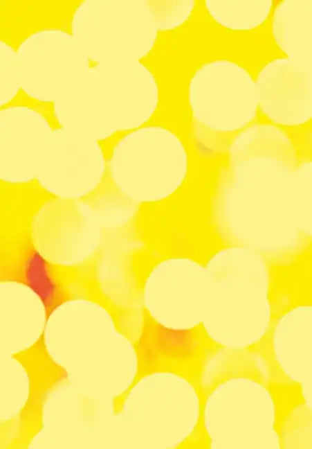 The Infinite Regression (2022 edition): Oh the Quines... - Hardcover