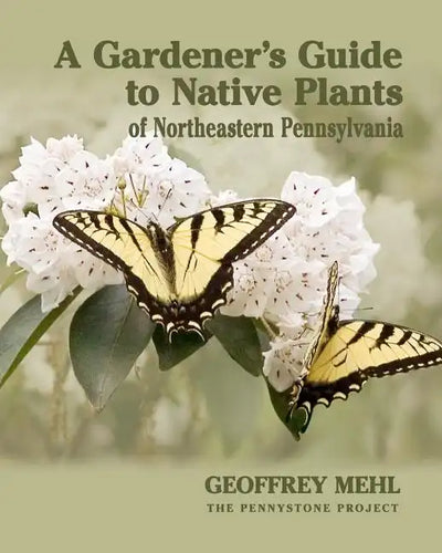 A Gardener's Guide to Native Plants of Northeastern Pennsylvania - Paperback