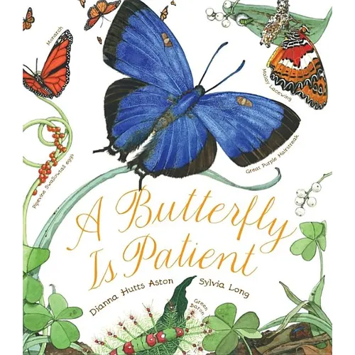 A Butterfly Is Patient - Hardcover