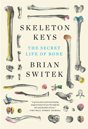 Skeleton Keys: The Secret Life of Bone - Paperback