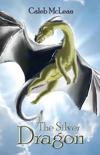 The Silver Dragon - Paperback