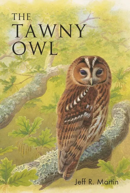 The Tawny Owl - Paperback