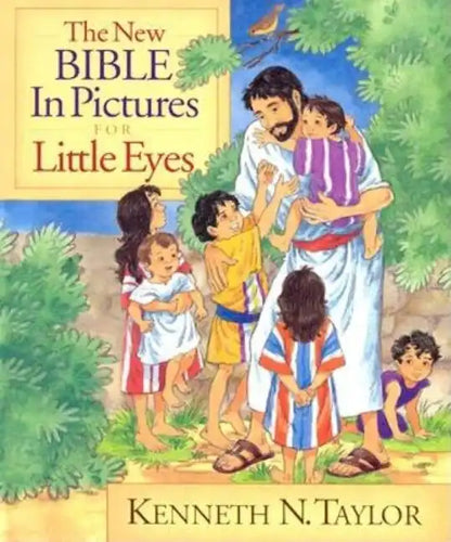 The New Bible in Pictures for Little Eyes - Hardcover