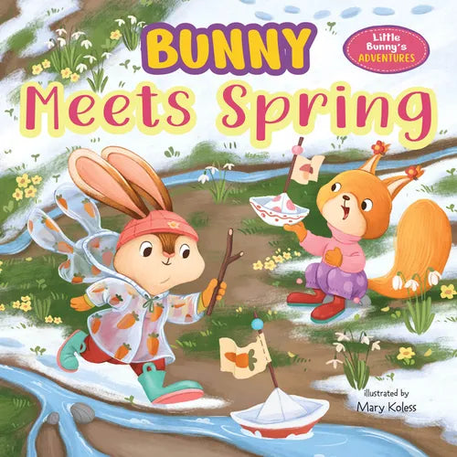 Bunny Meets Spring - Board Book