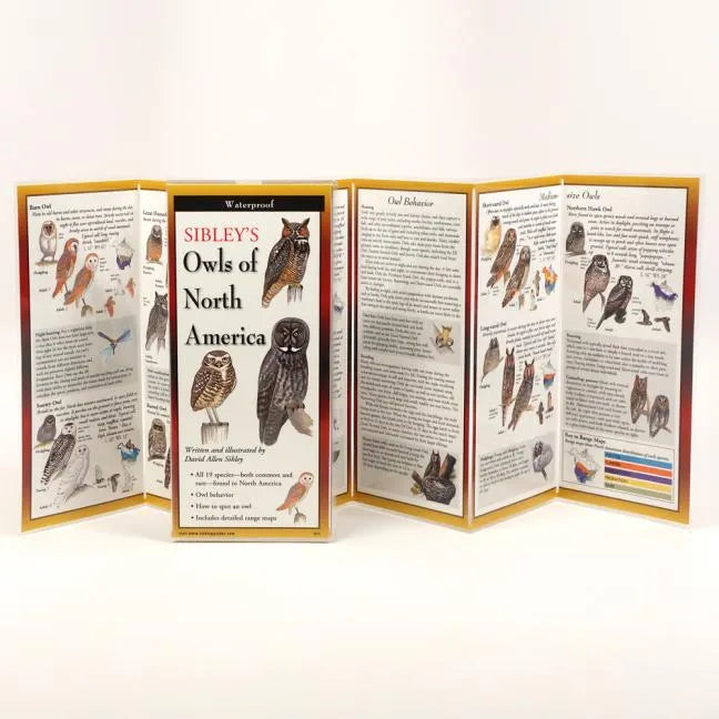 Sibley's Owls of North America