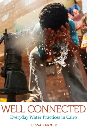 Well Connected: Everyday Water Practices in Cairo - Paperback