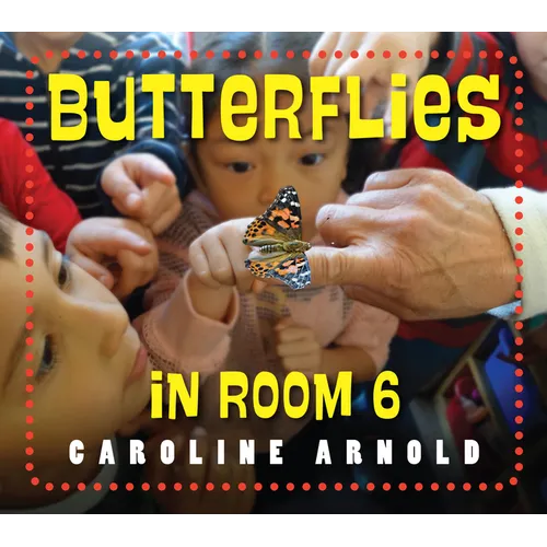 Butterflies in Room 6: See How They Grow - Hardcover